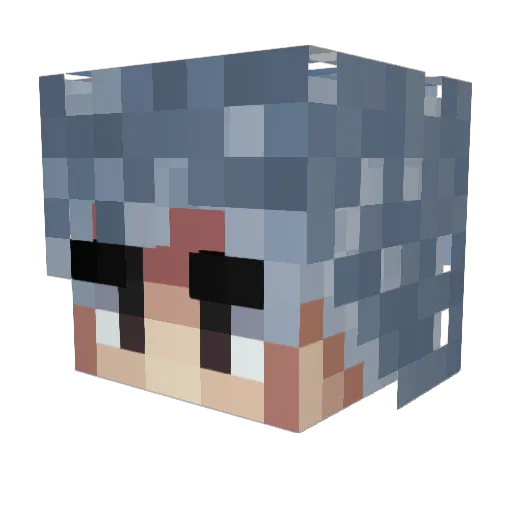Kame1991 Minecraft avatar head, 3D render