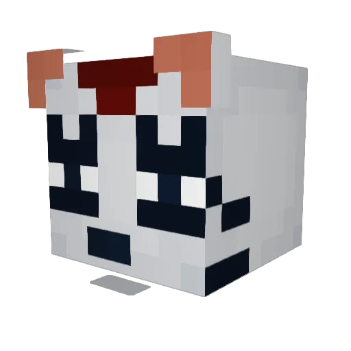 Kamekio Minecraft avatar head, 3D render