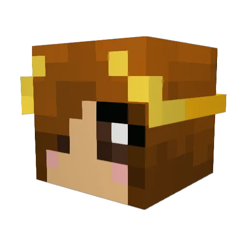 Kamelerontti Minecraft avatar head, 3D render