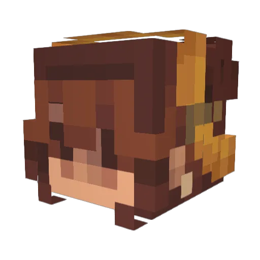 Kamesami Minecraft avatar head, 3D render