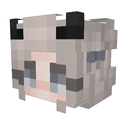 Kameshek Minecraft avatar head, 3D render