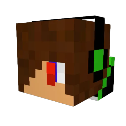Kamettaiga Minecraft avatar head, 3D render