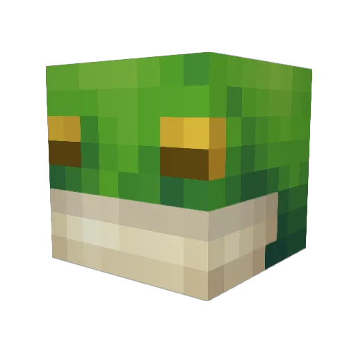 KamikazeFrog Minecraft avatar head, 3D render