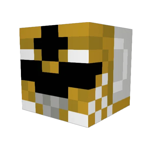 Kamikaze_James Minecraft avatar head, 3D render