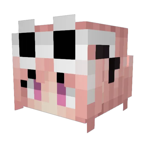 Kamiko243 Minecraft avatar head, 3D render