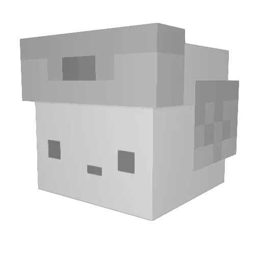 Kamil2095 Minecraft avatar head, 3D render