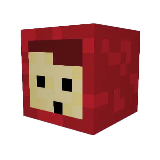 Kamil4297 Minecraft avatar head, 3D render