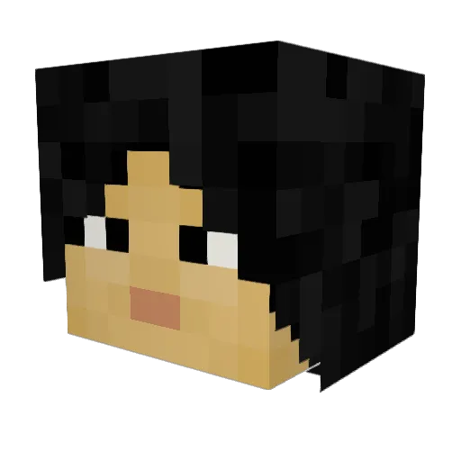 KamilCan_oe Minecraft avatar head, 3D render