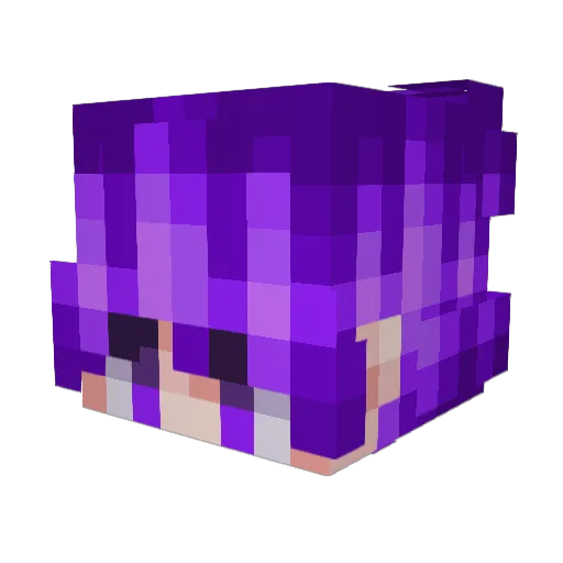 Kamilian05 Minecraft avatar head, 3D render