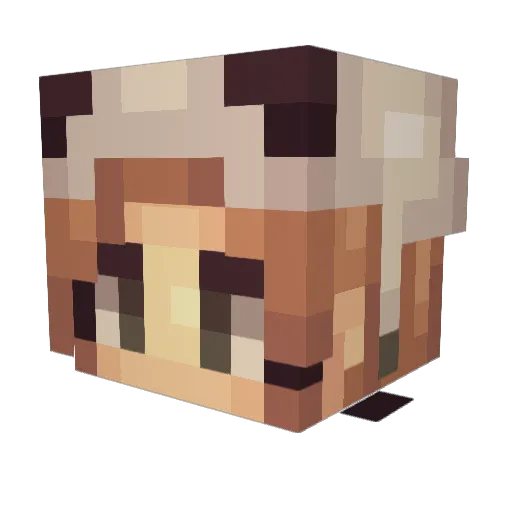 Kamizune Minecraft avatar head, 3D render