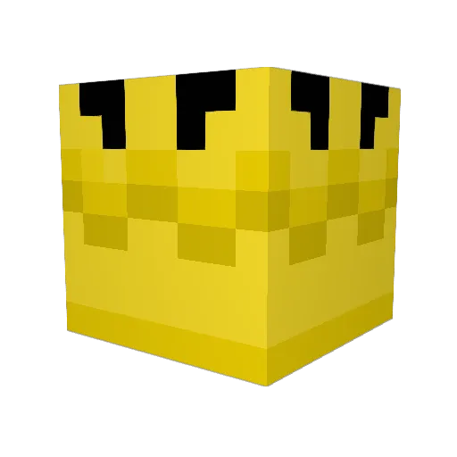 Kamknight Minecraft avatar head, 3D render