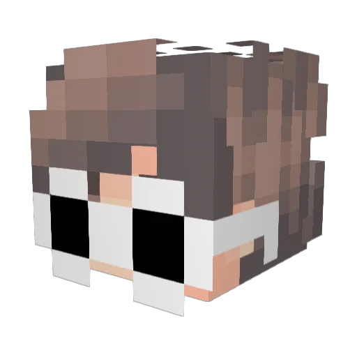 Kammil_ Minecraft avatar head, 3D render