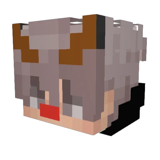 KamoALK Minecraft avatar head, 3D render