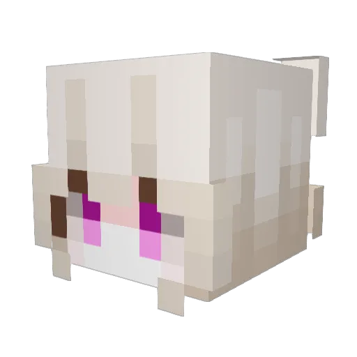 Kamome0307 Minecraft avatar head, 3D render