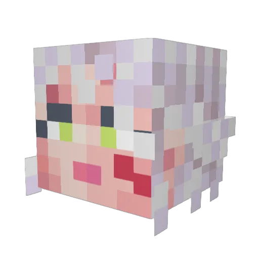 Kampeona Minecraft avatar head, 3D render