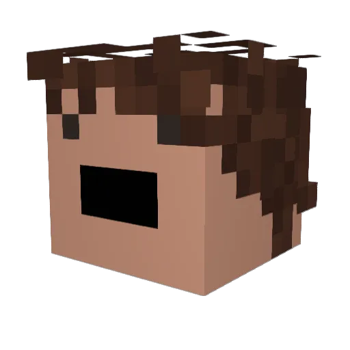 Kamperken Minecraft avatar head, 3D render