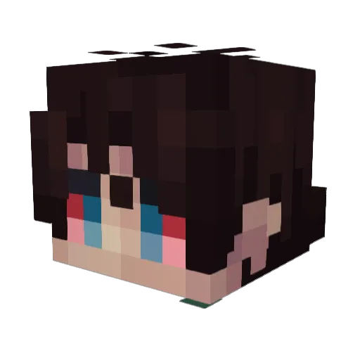 Kampfwolfi Minecraft avatar head, 3D render