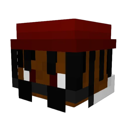 Kamsicle Minecraft avatar head, 3D render