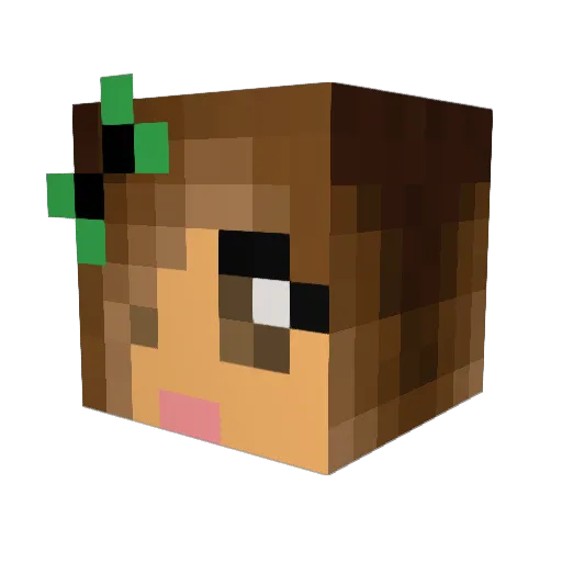 Kamster Minecraft avatar head, 3D render