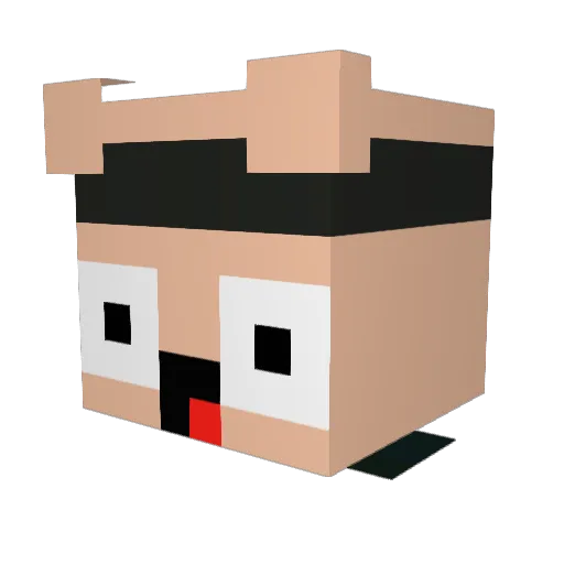 KamuiShiro Minecraft avatar head, 3D render