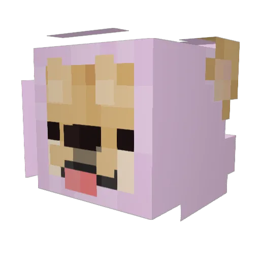 Kamyczek454 Minecraft avatar head, 3D render