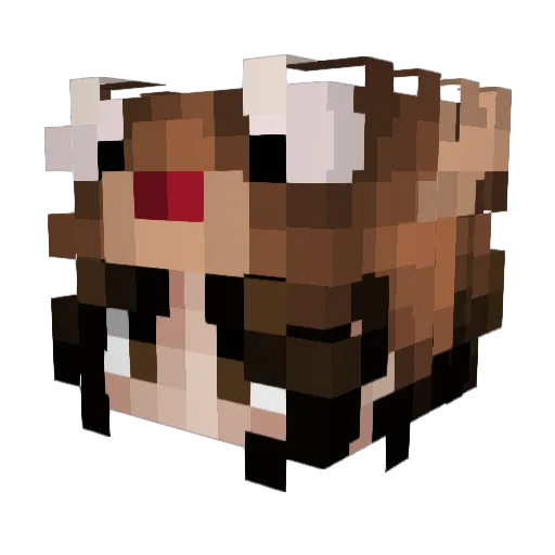 KanabisKnabe Minecraft avatar head, 3D render