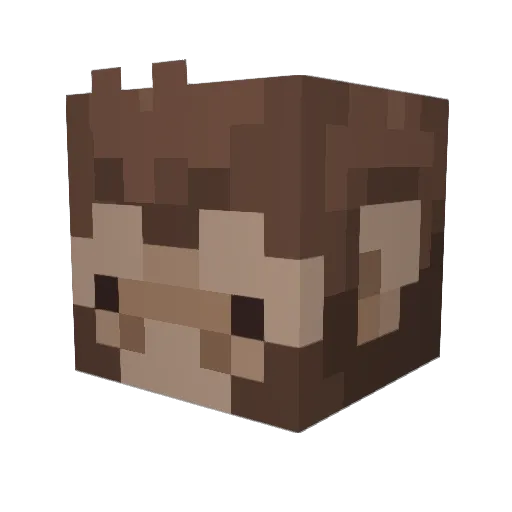 Kanain Minecraft avatar head, 3D render
