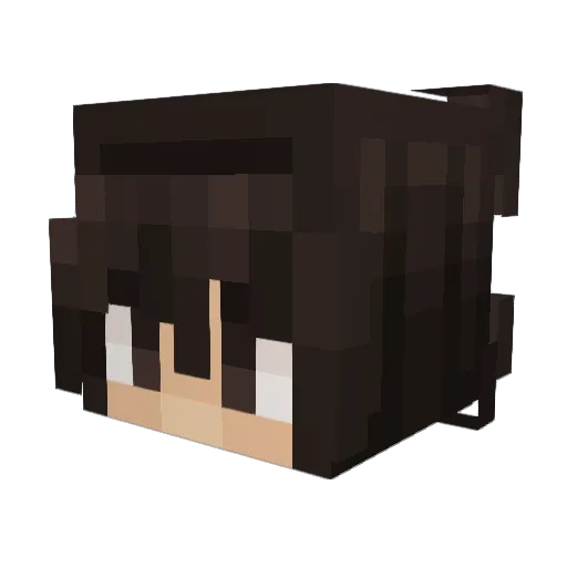 Kanalife216 Minecraft avatar head, 3D render