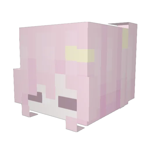 Kanaluminate Minecraft avatar head, 3D render