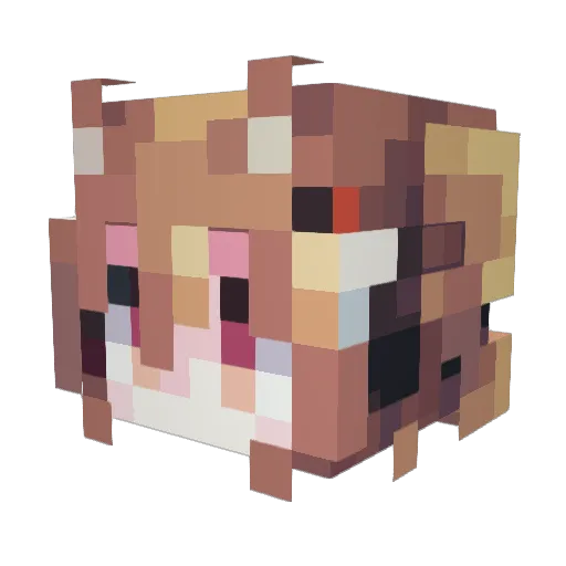 KanameMadoka520 Minecraft avatar head, 3D render