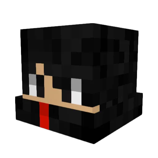 Kanashimi___Kun Minecraft avatar head, 3D render