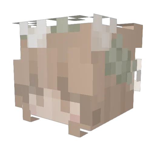 Kanaso Minecraft avatar head, 3D render