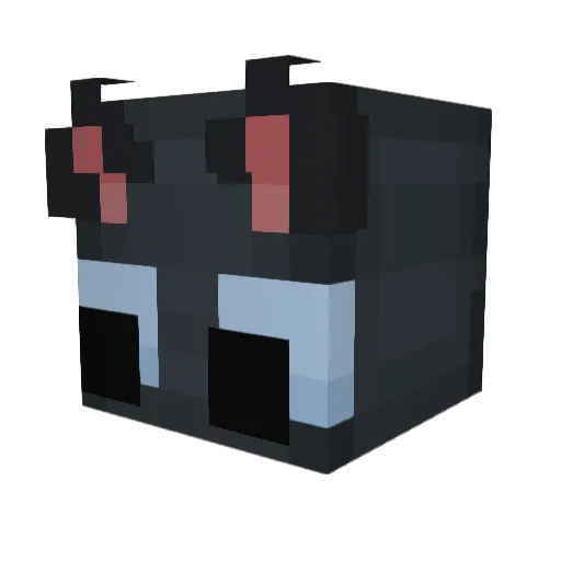 Kandhro2 Minecraft avatar head, 3D render