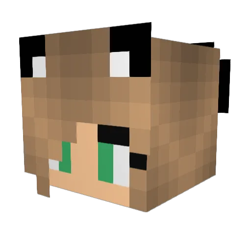 KandyxXxKacey Minecraft avatar head, 3D render