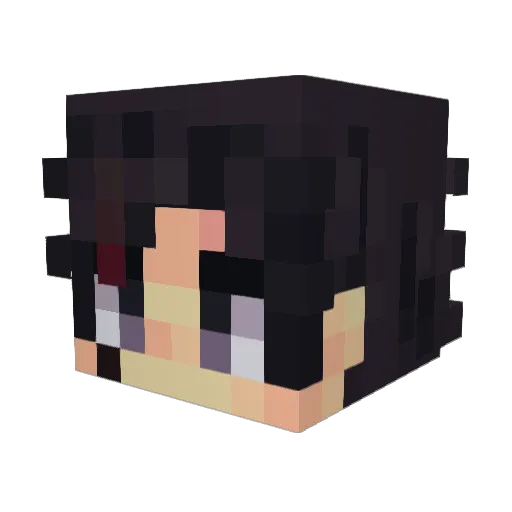 Kane1823 Minecraft avatar head, 3D render