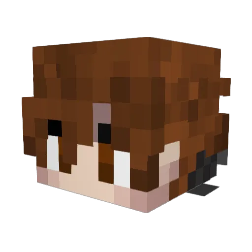 Kanebott2010 Minecraft avatar head, 3D render