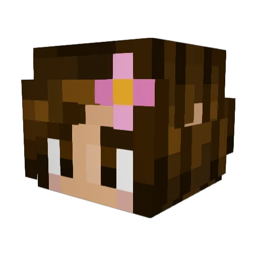 Kanelkit Minecraft avatar head, 3D render