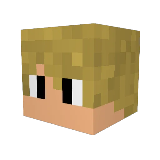 Kanexe Minecraft avatar head, 3D render