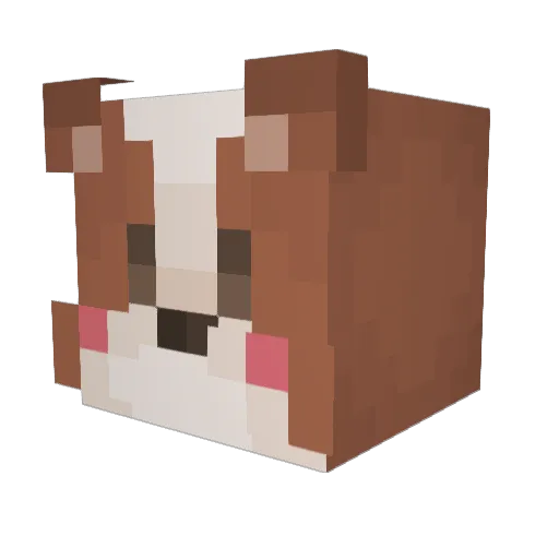 KangJung0630 Minecraft avatar head, 3D render