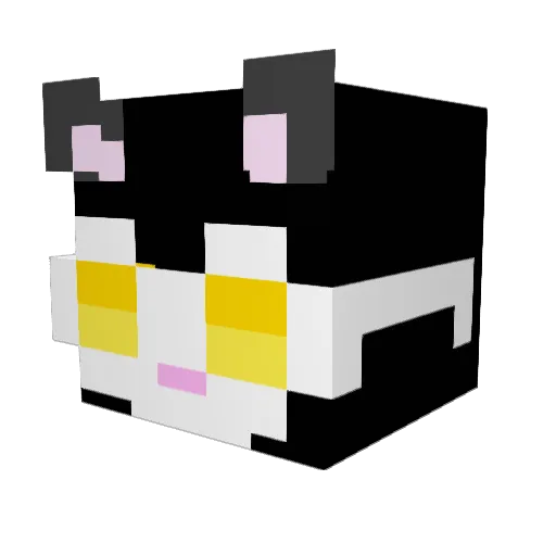 Kang_MUJIN Minecraft avatar head, 3D render