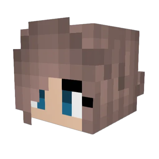 KangarooMouse276 Minecraft avatar head, 3D render