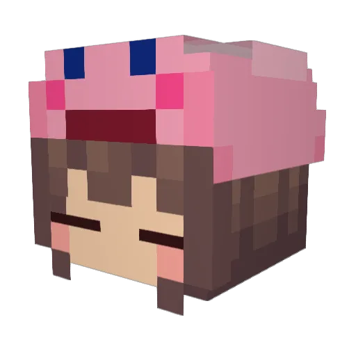 Kangaroo_03 Minecraft avatar head, 3D render