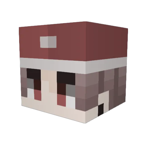 Kangch1312 Minecraft avatar head, 3D render