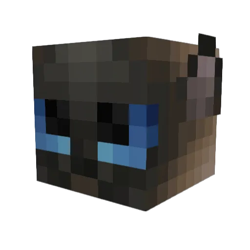 KangerMoo Minecraft avatar head, 3D render