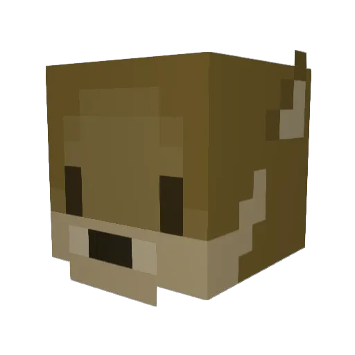 Kangoru Minecraft avatar head, 3D render