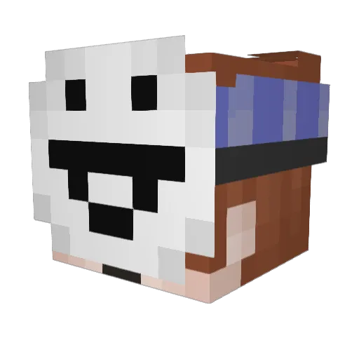 Kanid_ Minecraft avatar head, 3D render