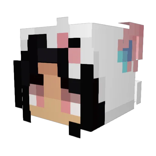 Kanihem Minecraft avatar head, 3D render