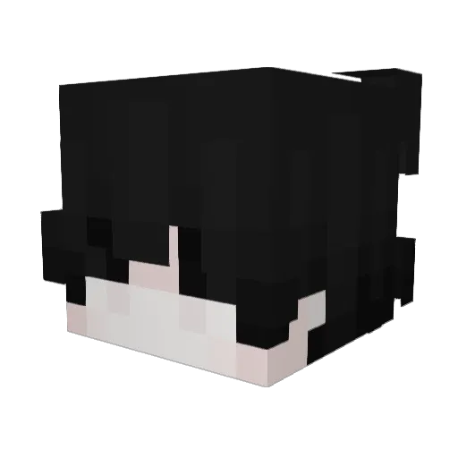 Kanilos Minecraft avatar head, 3D render