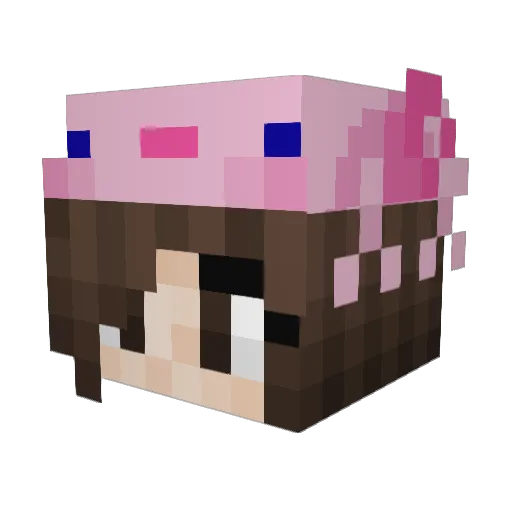 KaninDisa Minecraft avatar head, 3D render