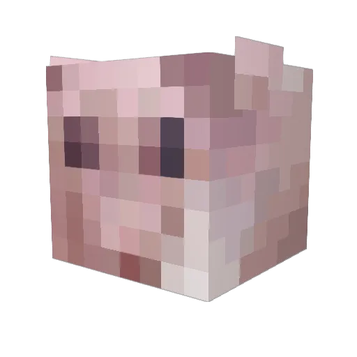 Kaninis23 Minecraft avatar head, 3D render